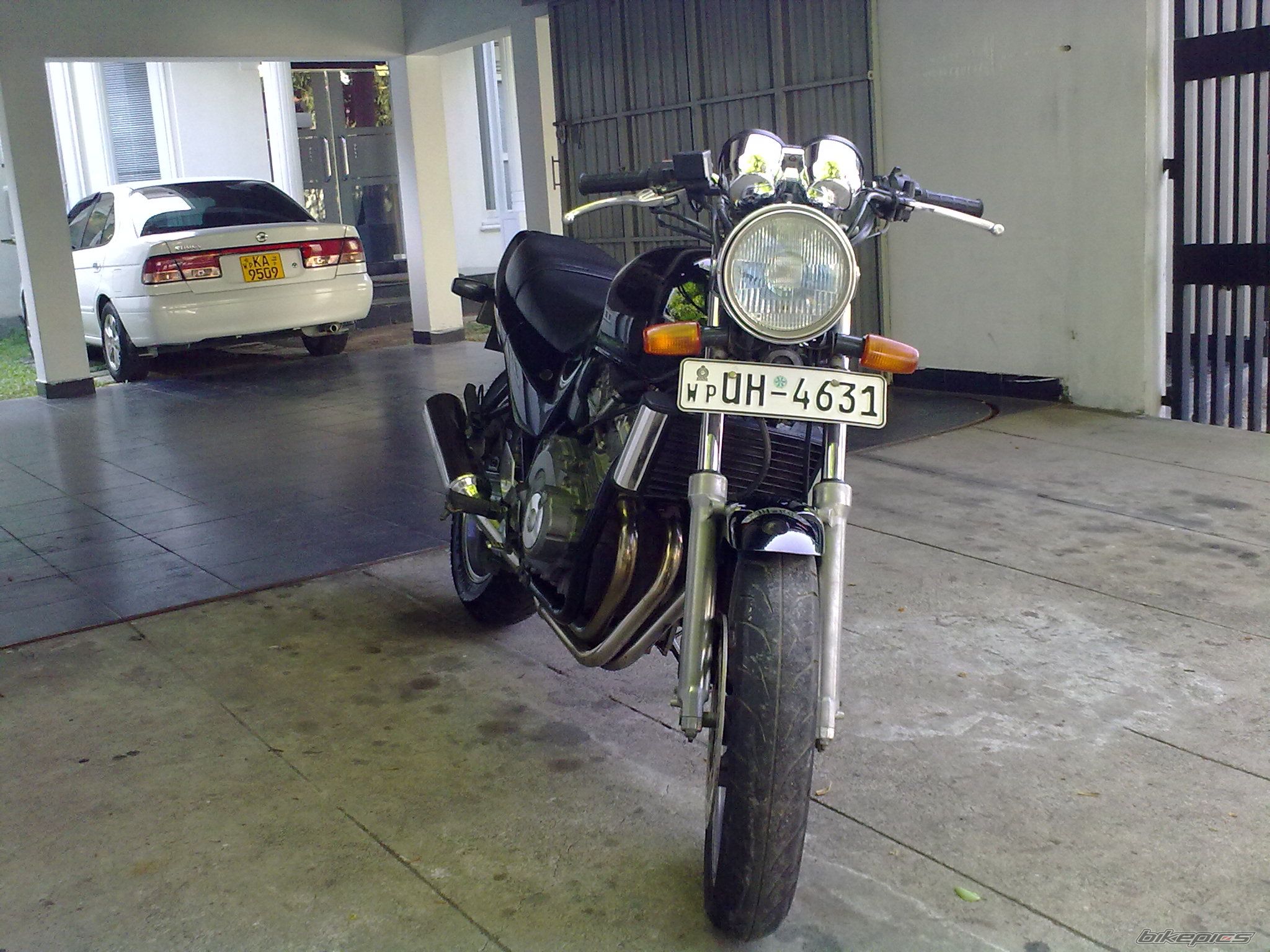 Photo 2042088