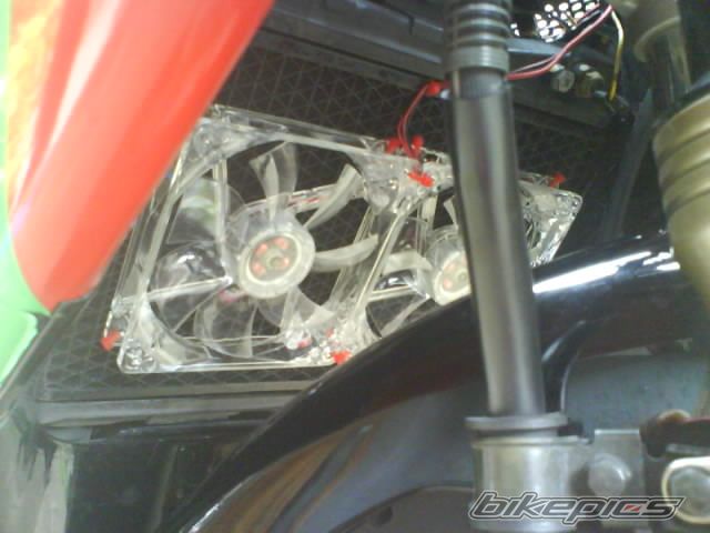 Photo 2042097