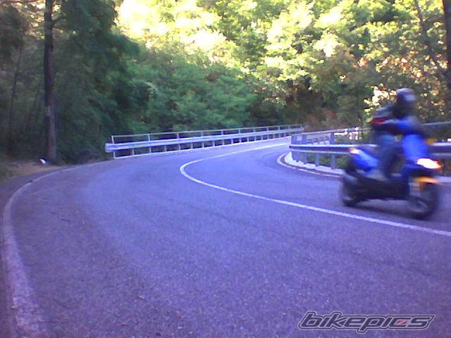 Photo 204220
