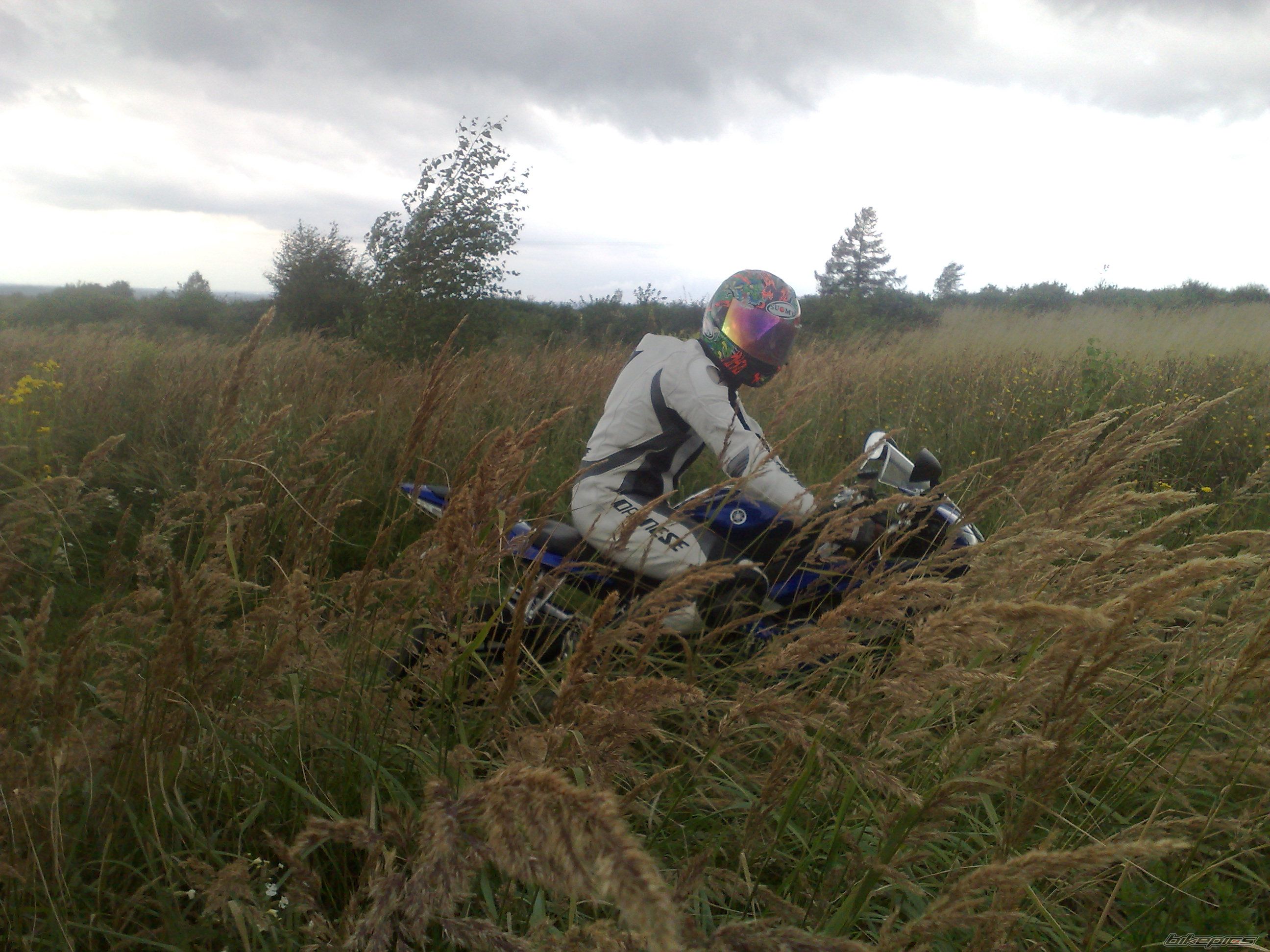 Photo 2042375