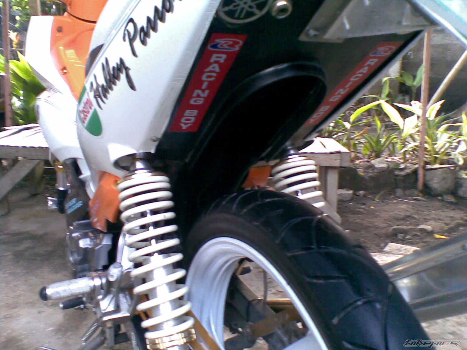 Photo 2042548