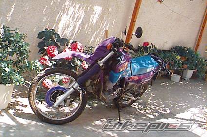 Photo 204264