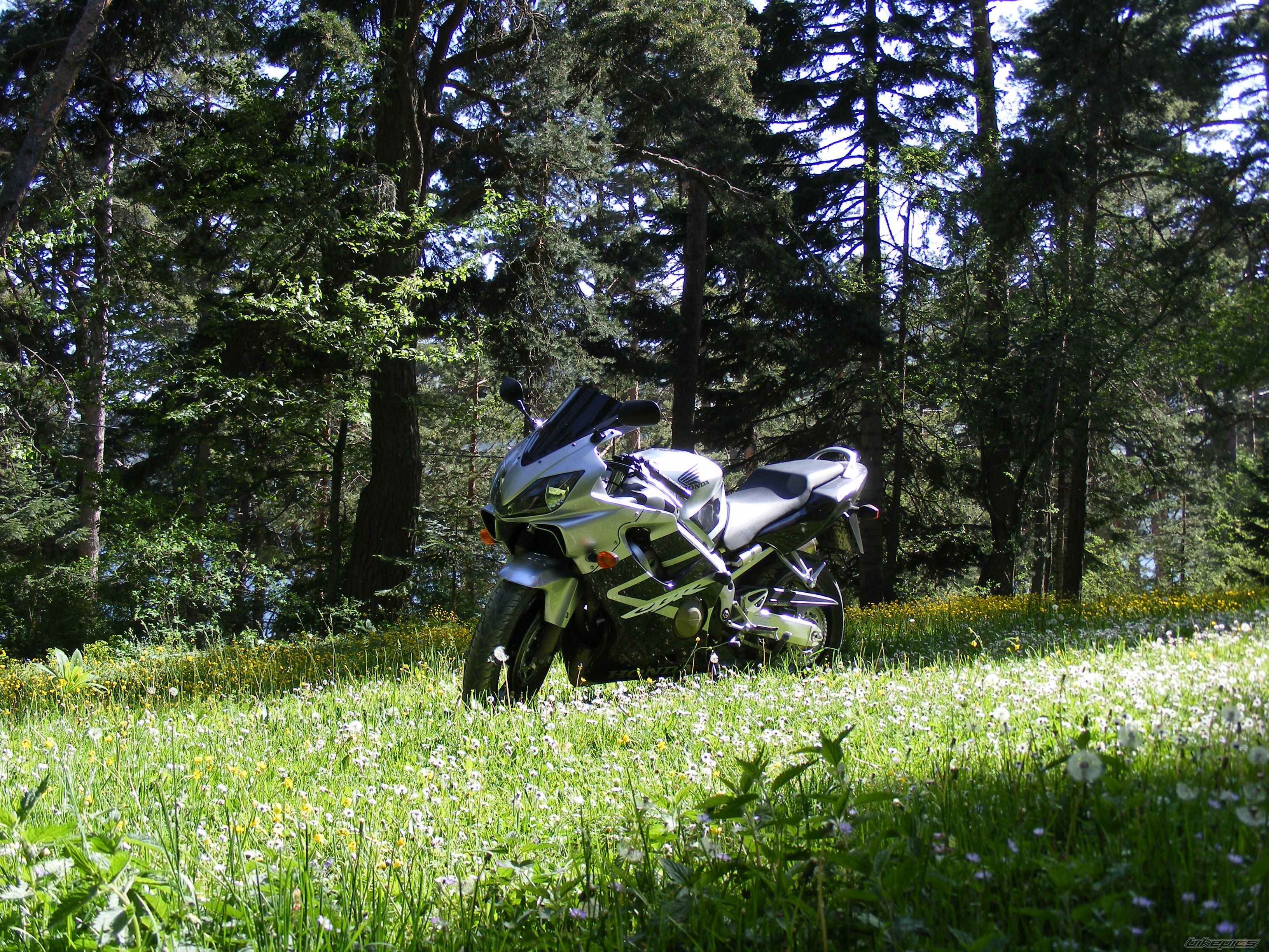 Photo 2042647