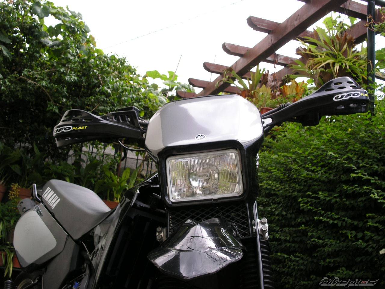 Photo 204267