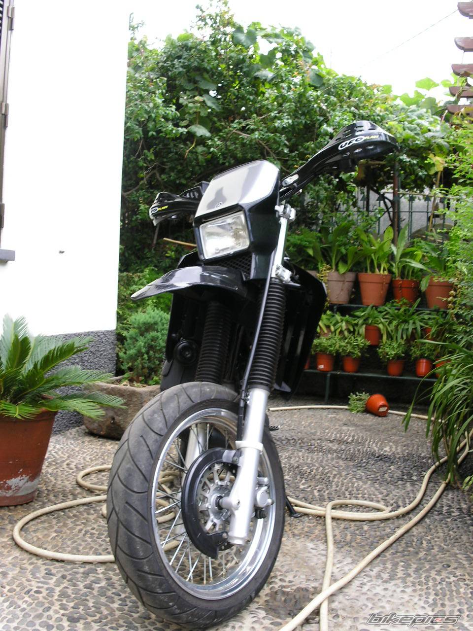 Photo 204268