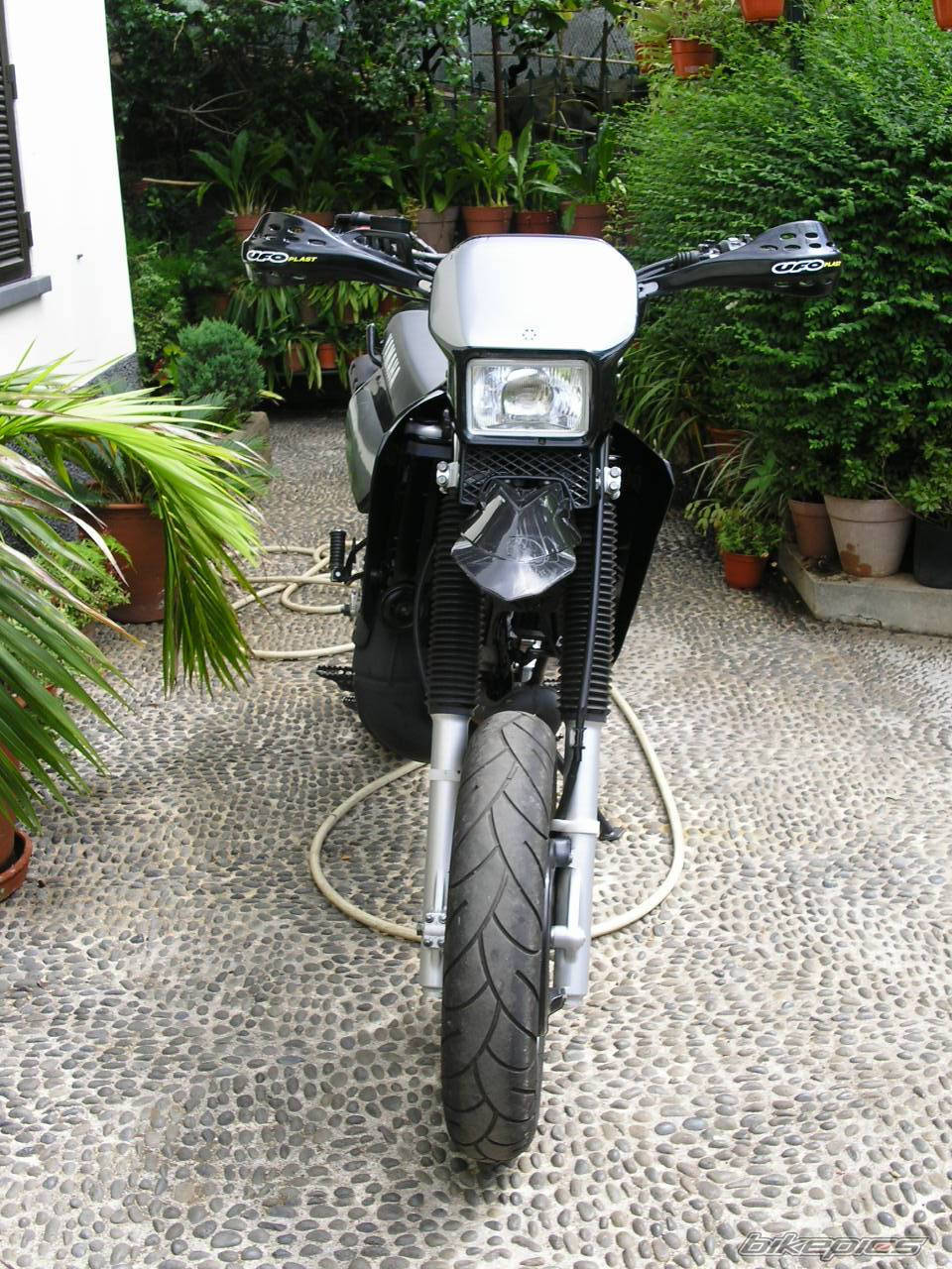 Photo 204270