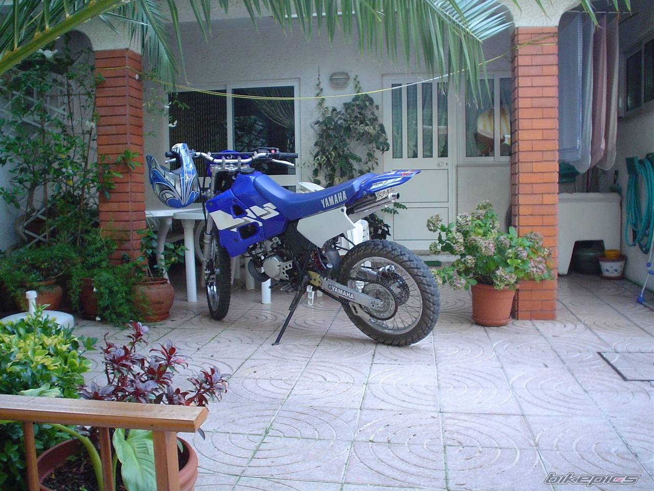 Bike Photo 204273