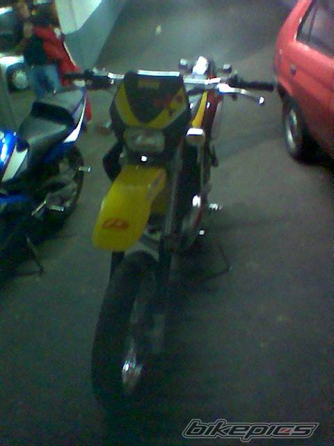 Photo 204278
