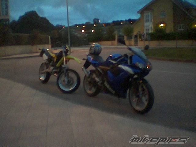 Photo 204279