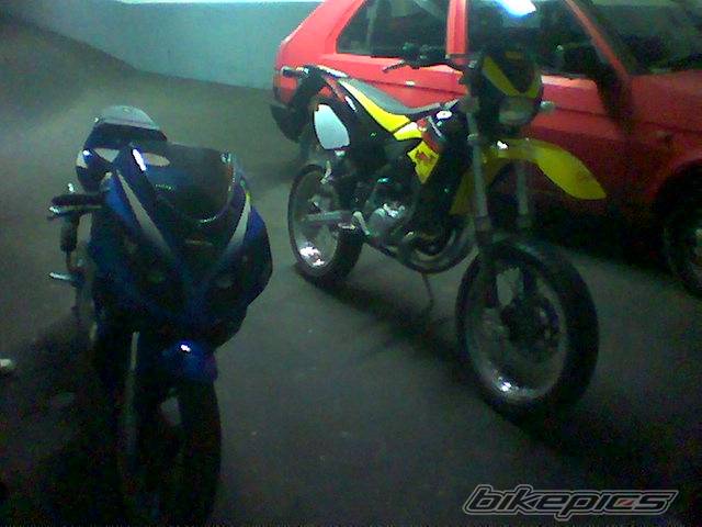 Photo 204281