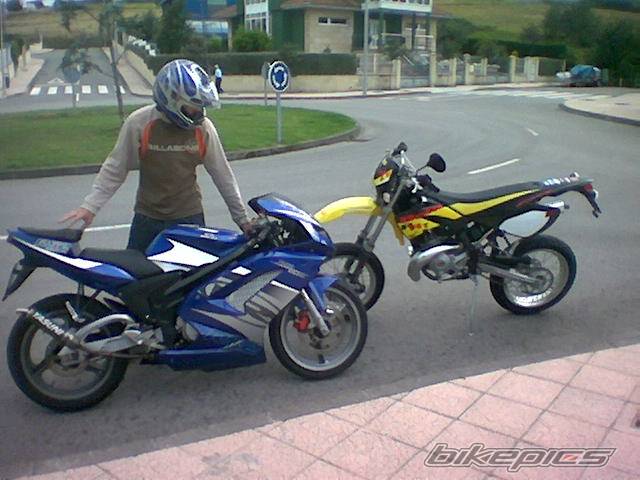 Photo 204282