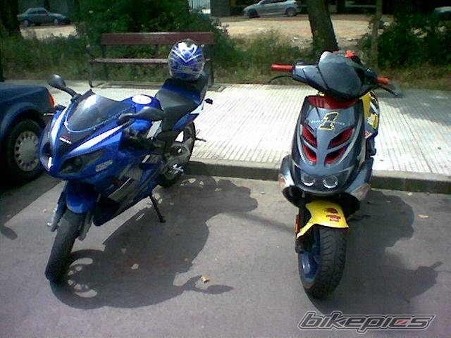 Photo 204284