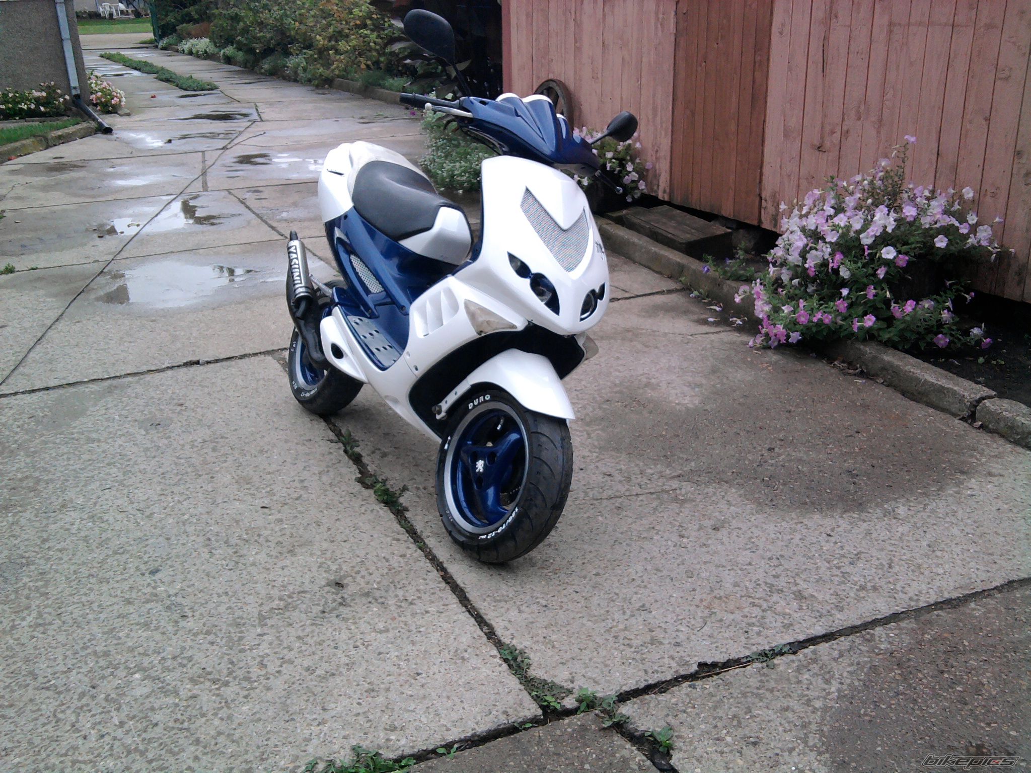 Photo 2042870