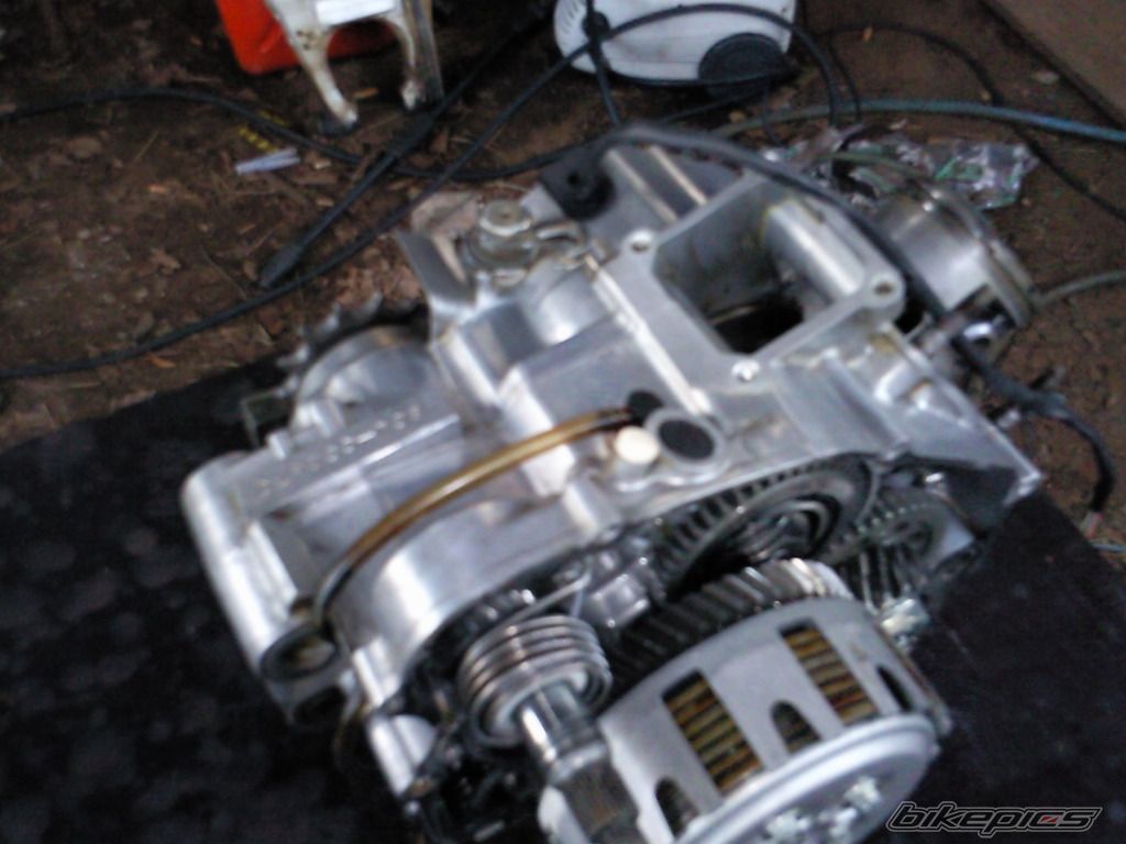 Photo 2043159
