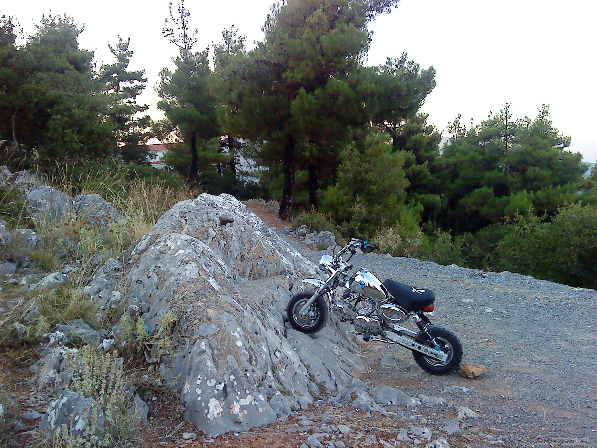 Photo 2043228