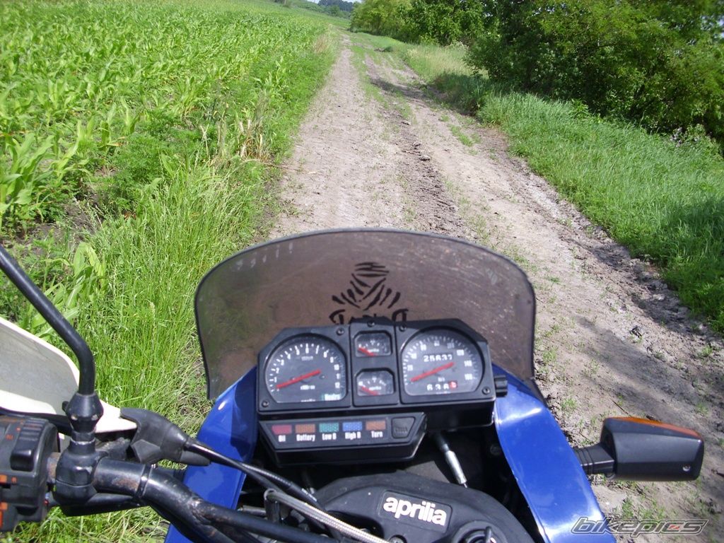 Photo 2043411