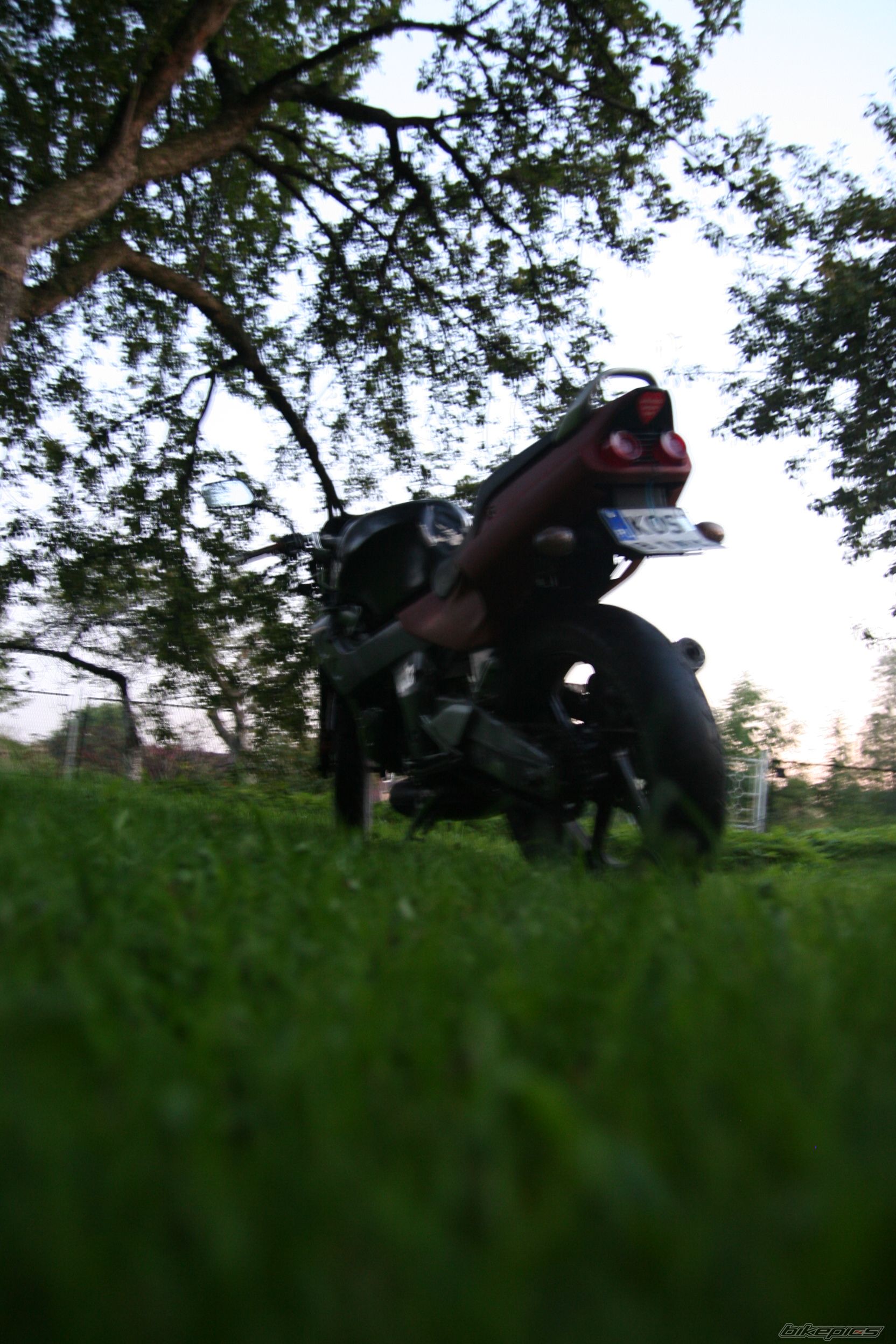 Photo 2043610