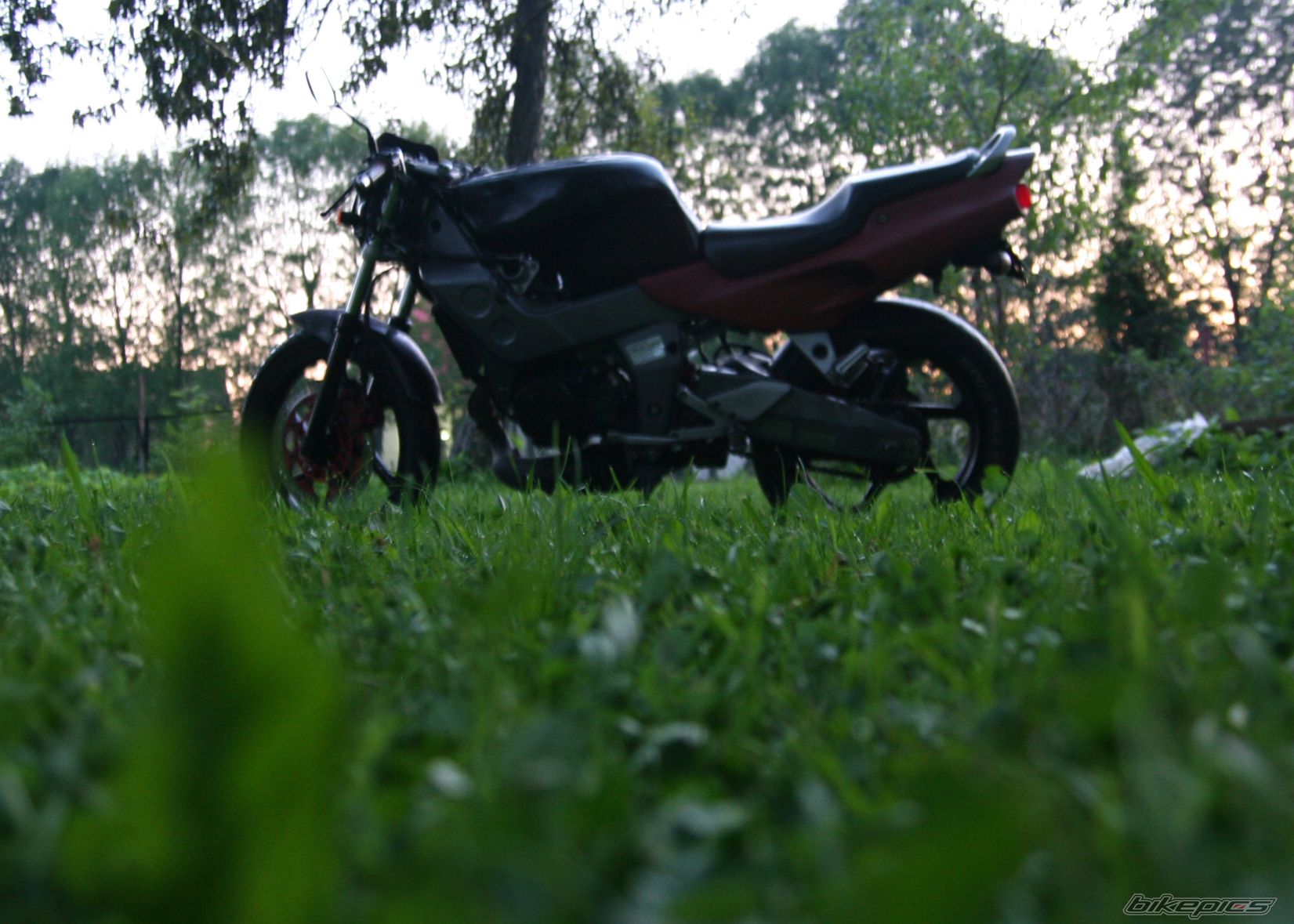Photo 2043614