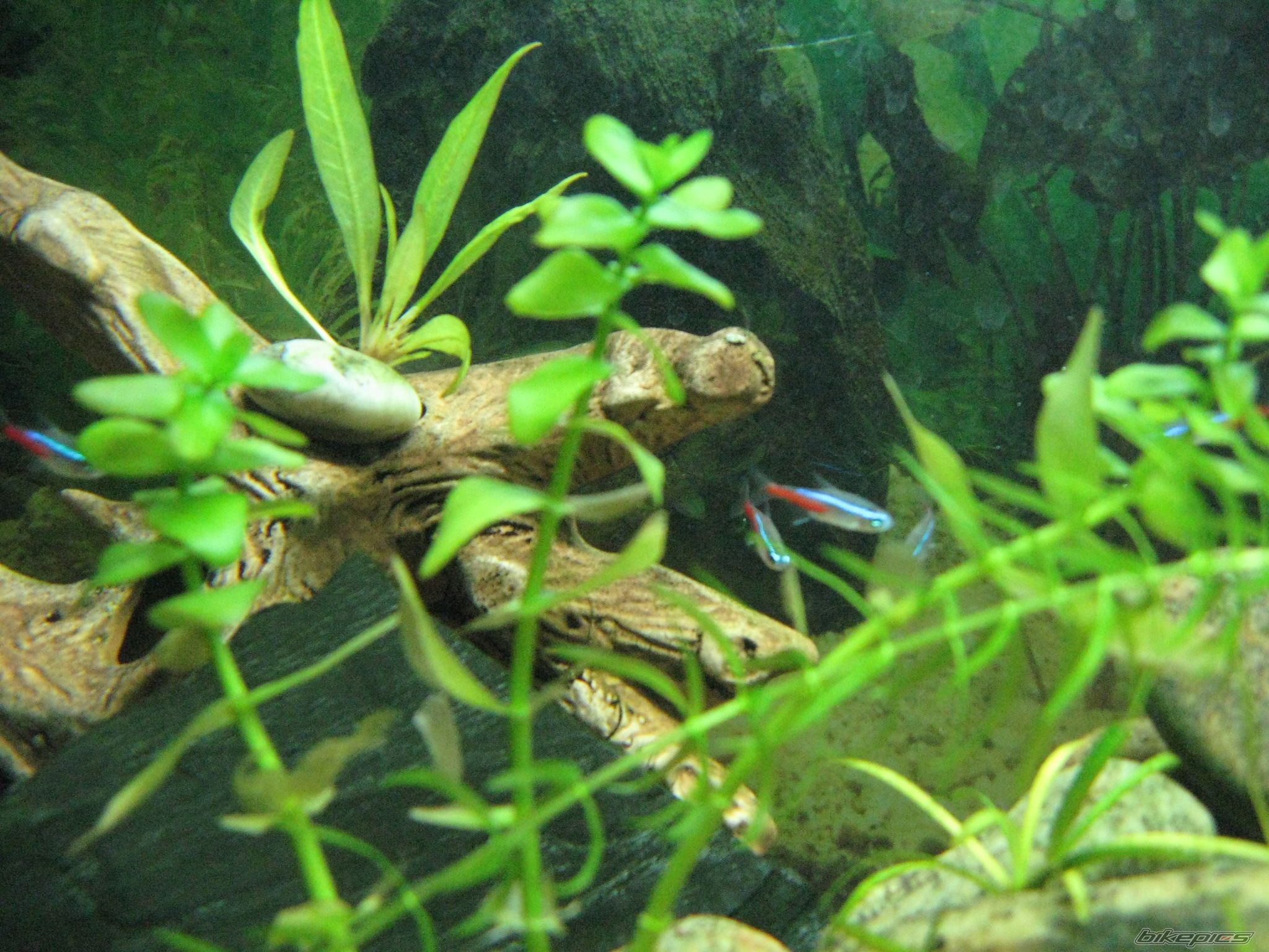 Photo 2043762
