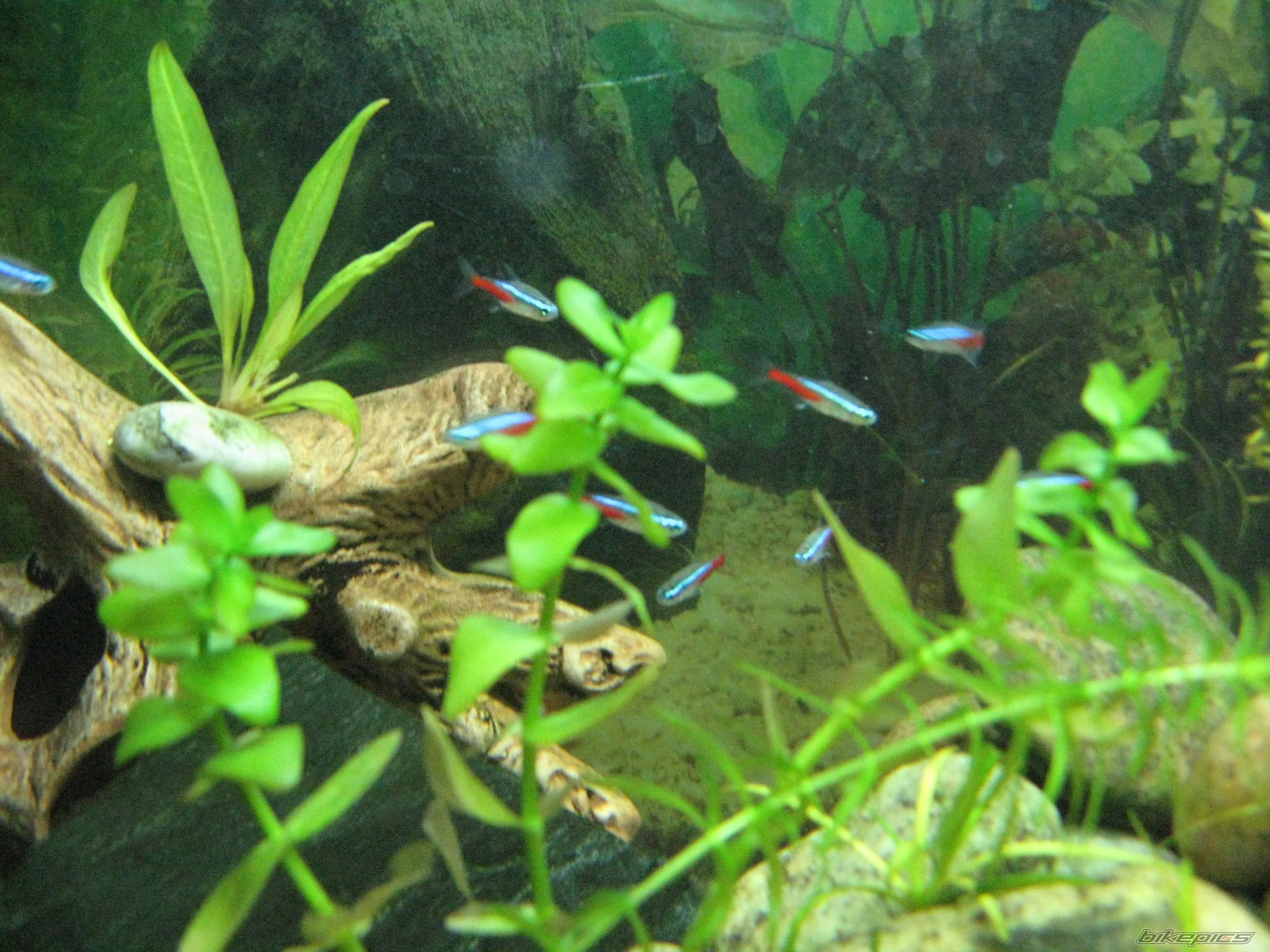 Photo 2043763