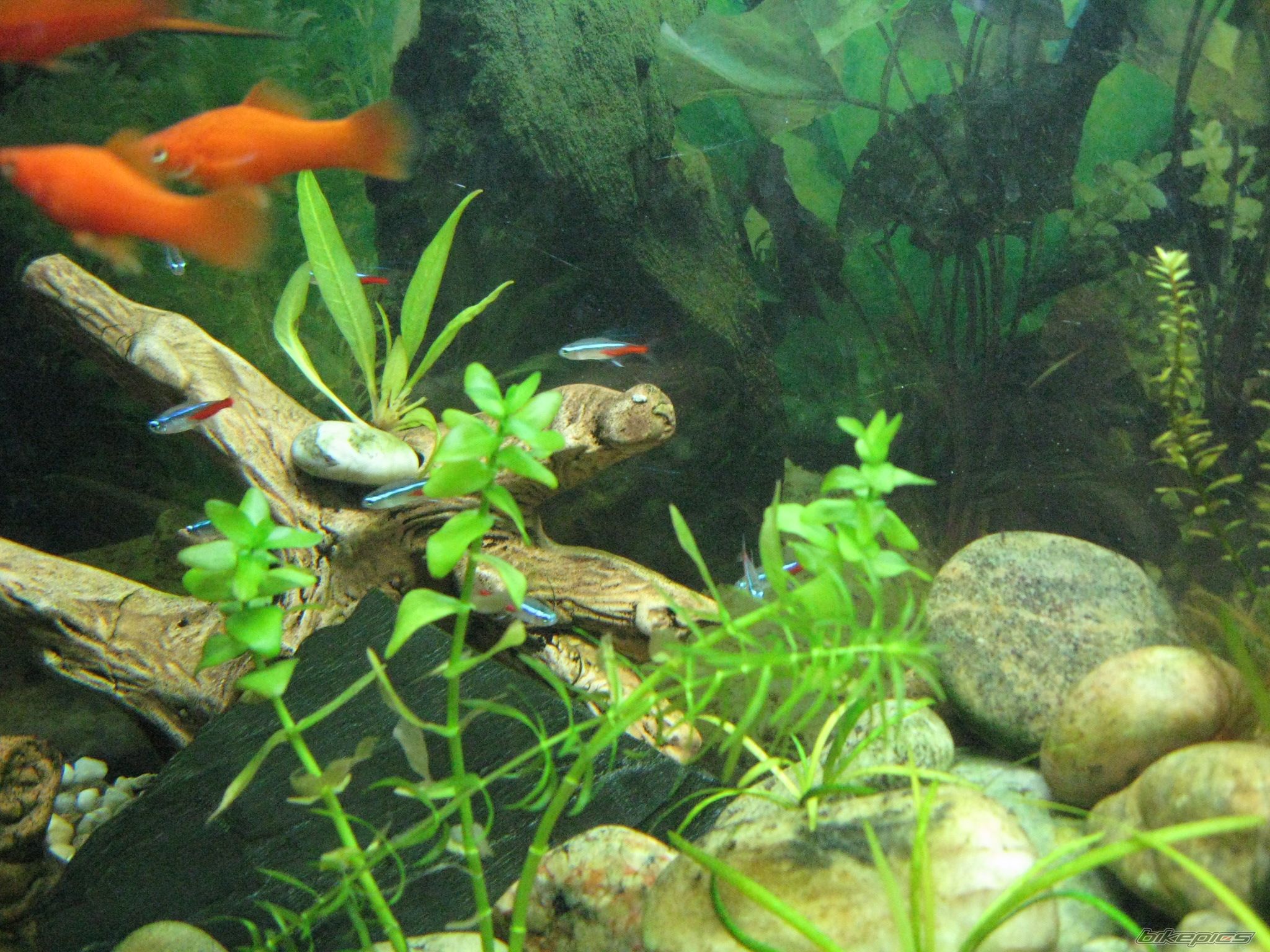 Photo 2043764