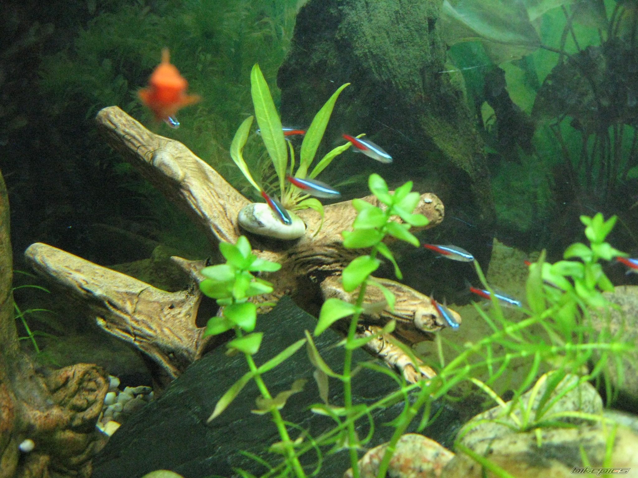 Photo 2043765
