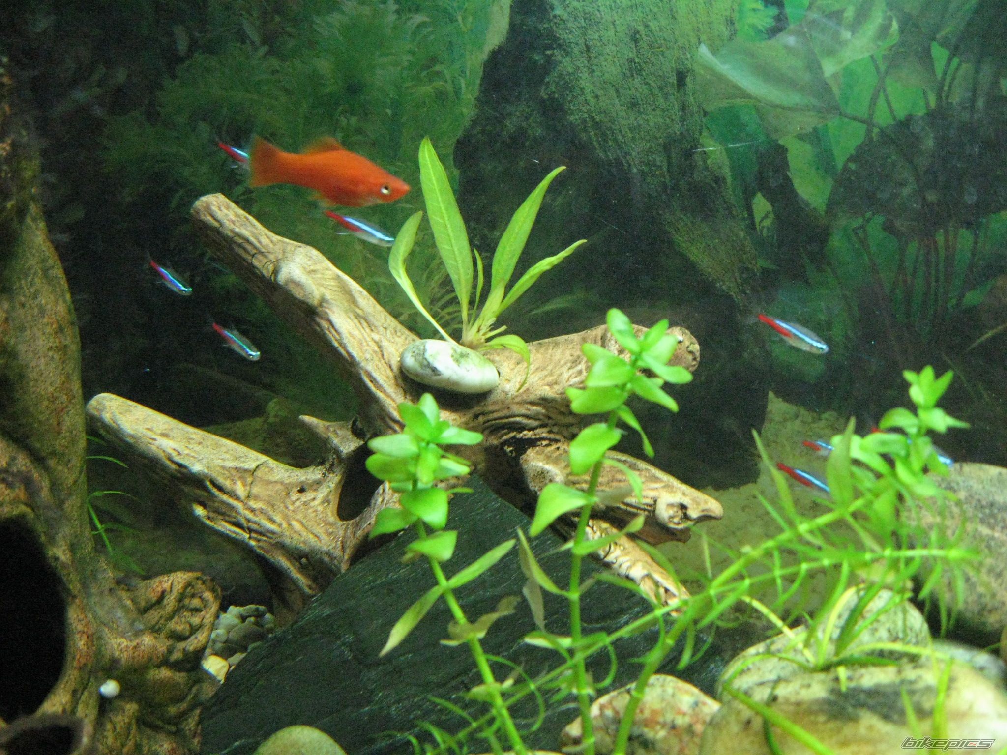 Photo 2043767