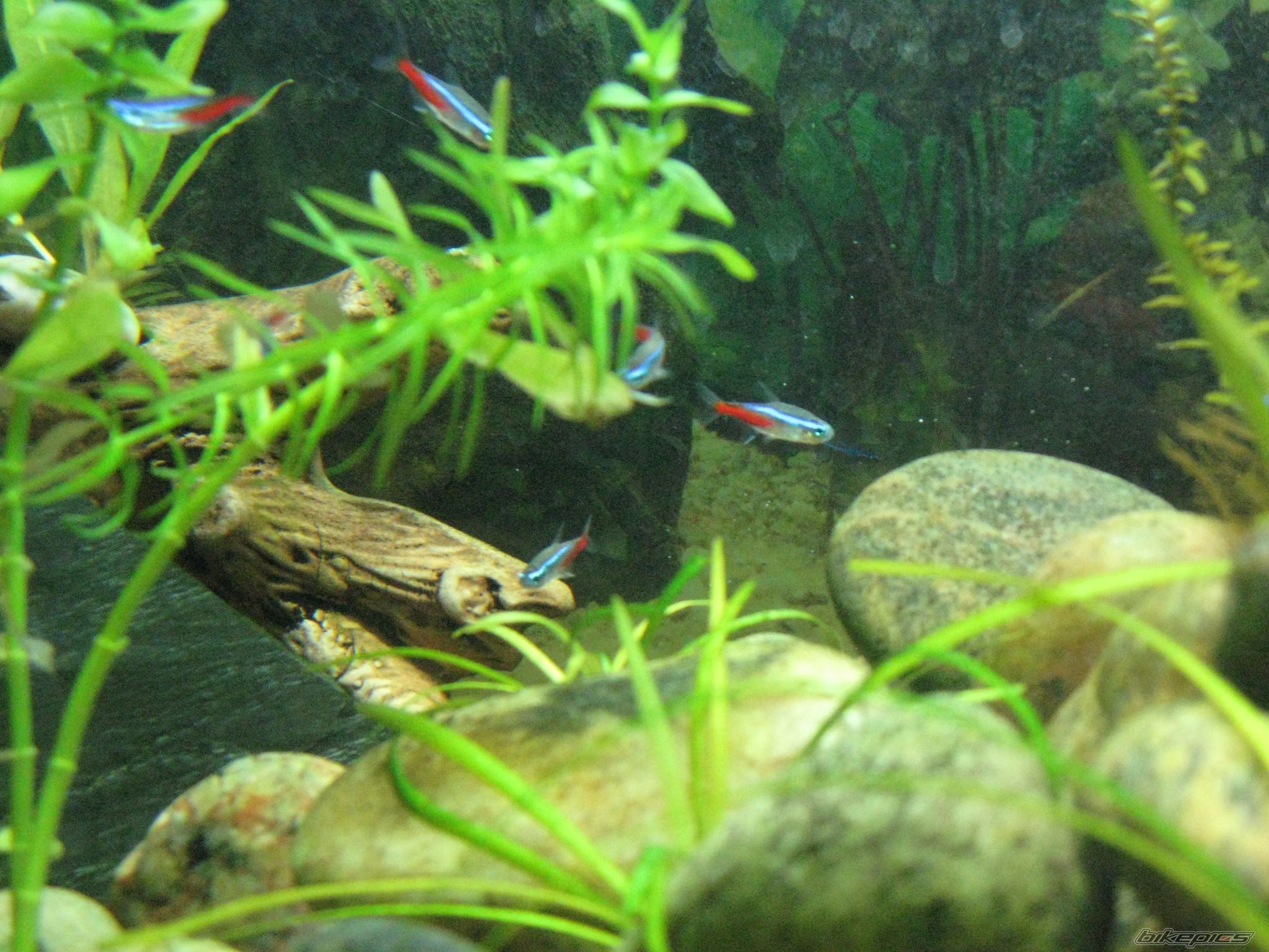 Photo 2043769