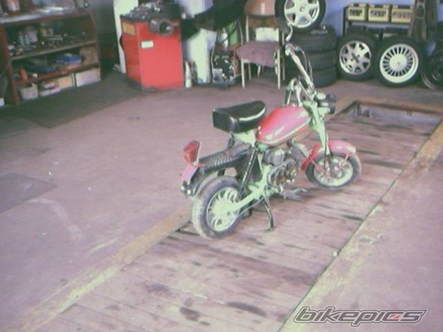Bike Photo 204400