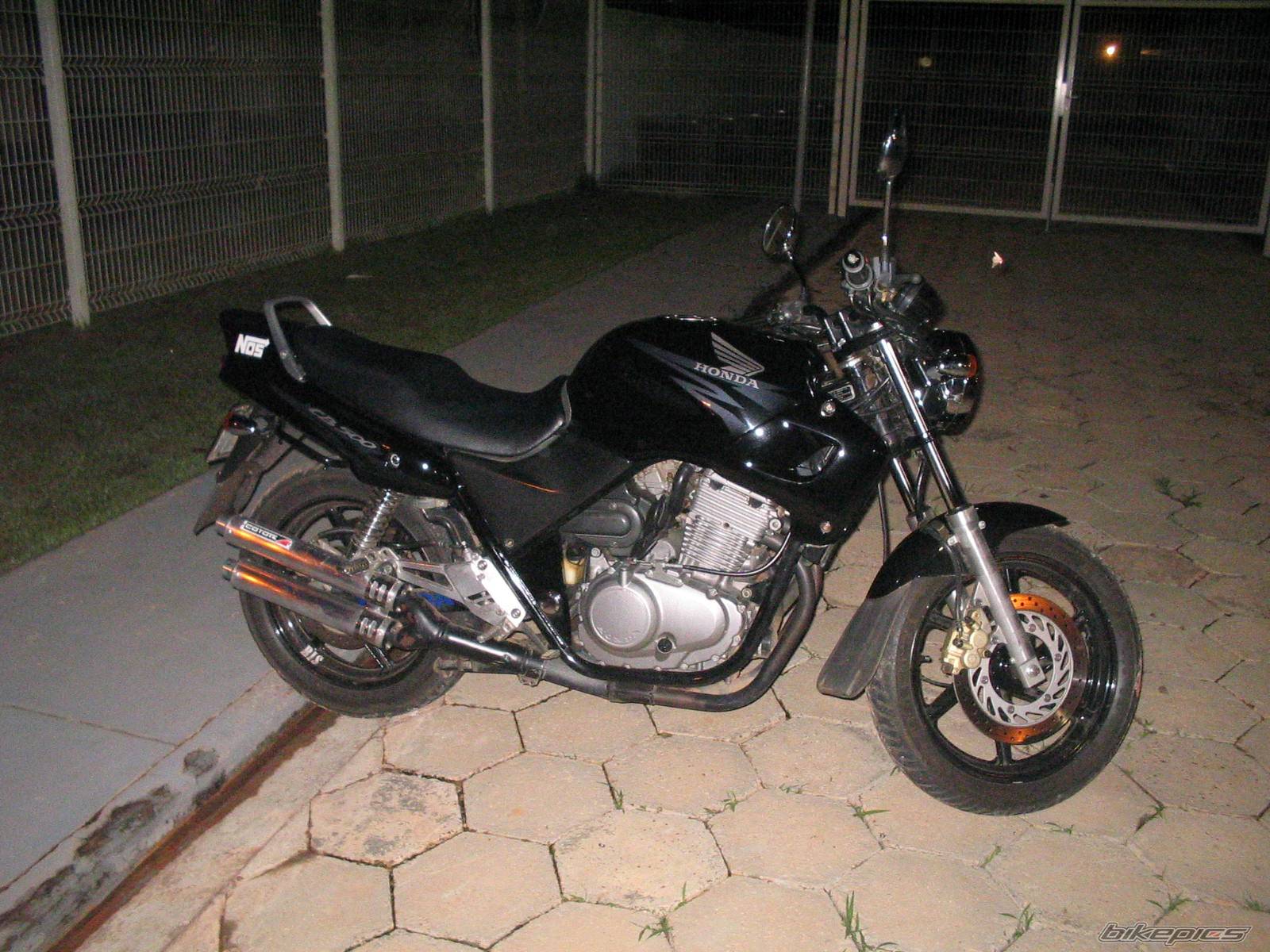 Photo 204451
