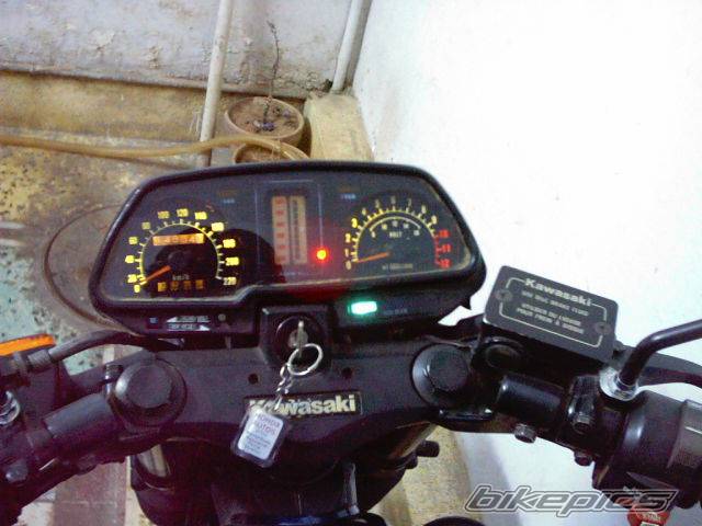 Photo 204452