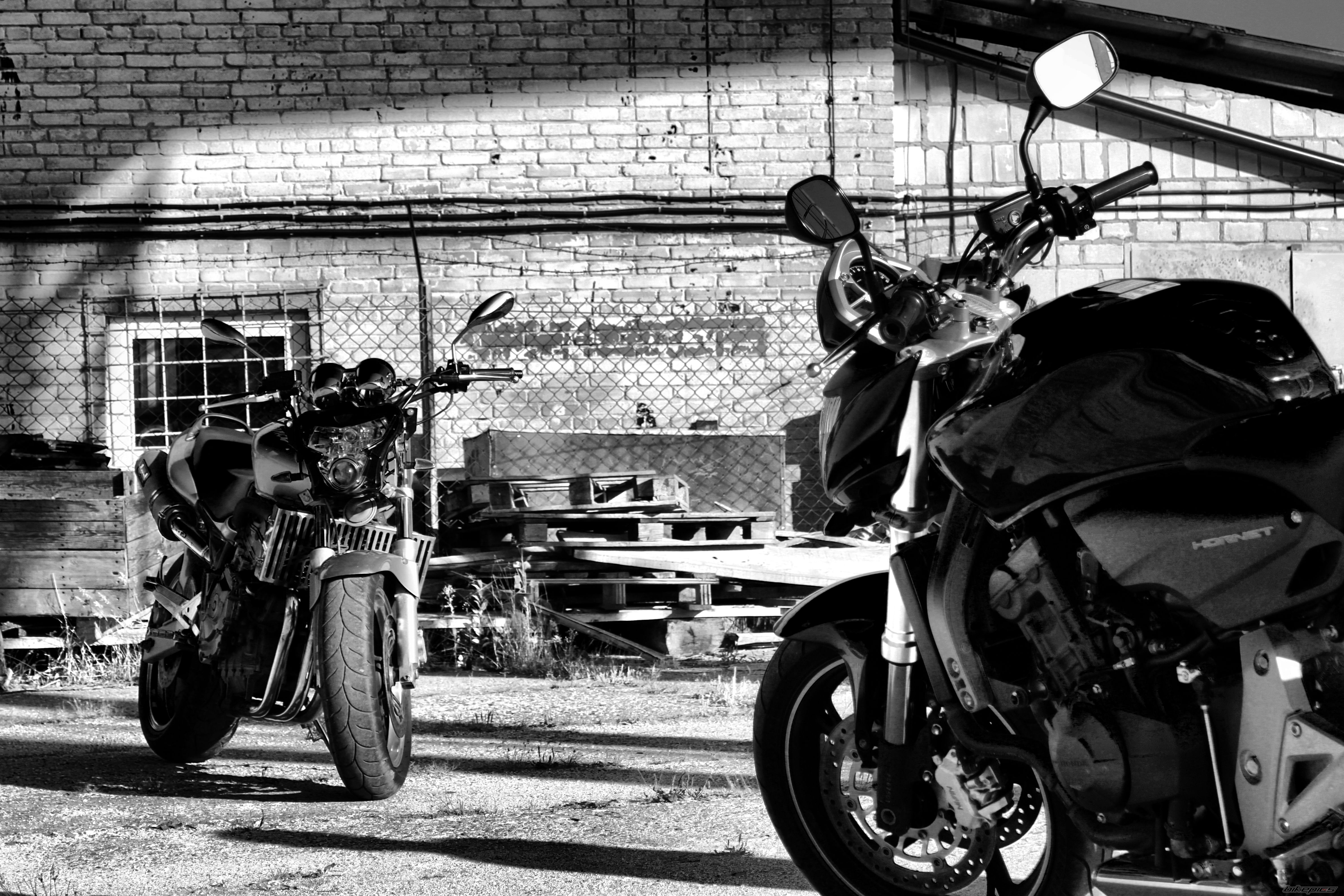 Photo 2044689