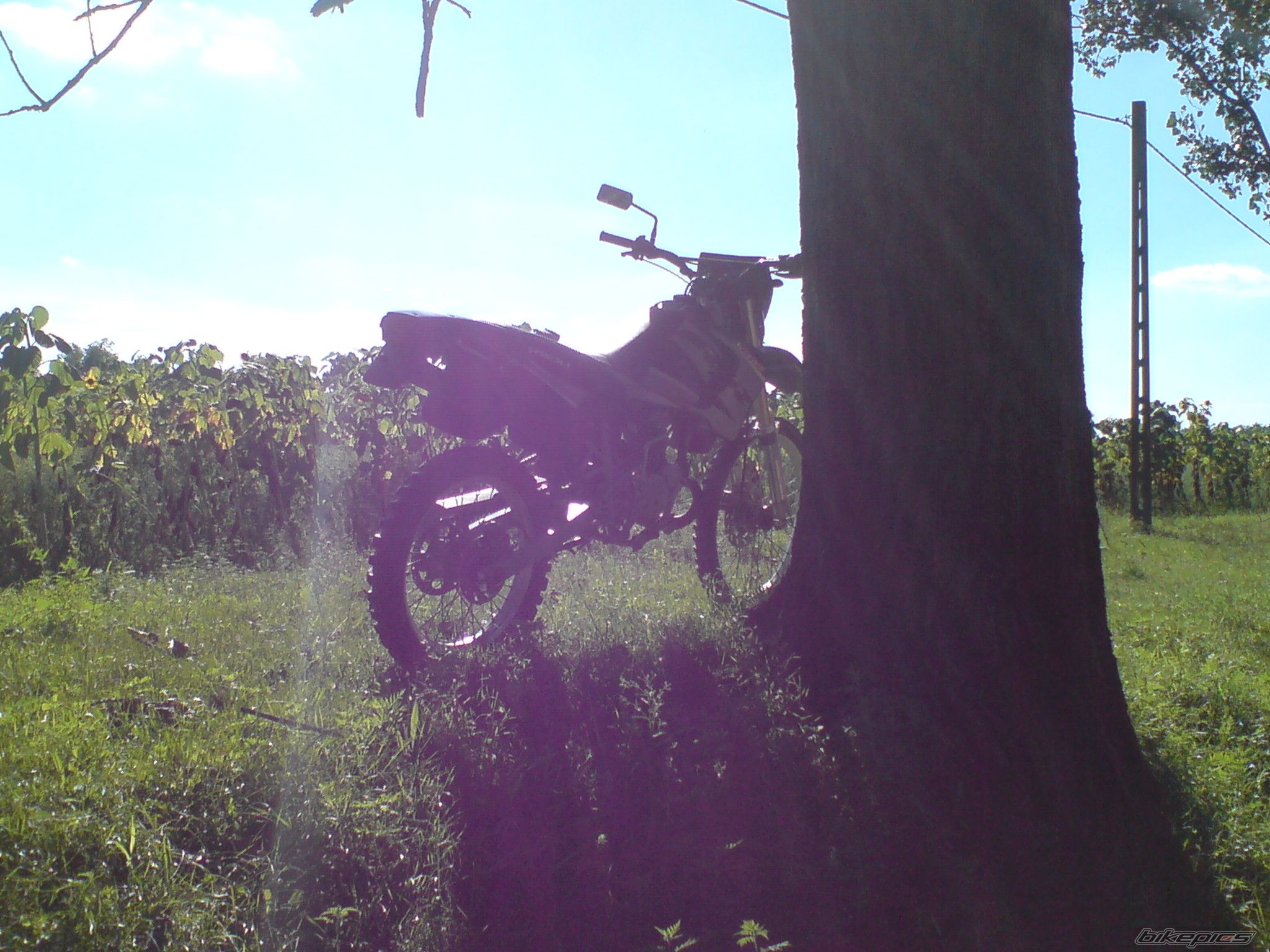 Bike Photo 2044787
