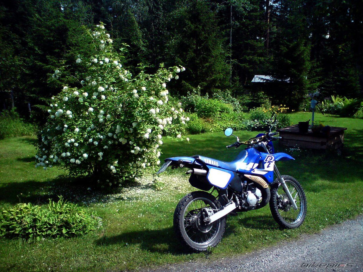 Photo 2044804