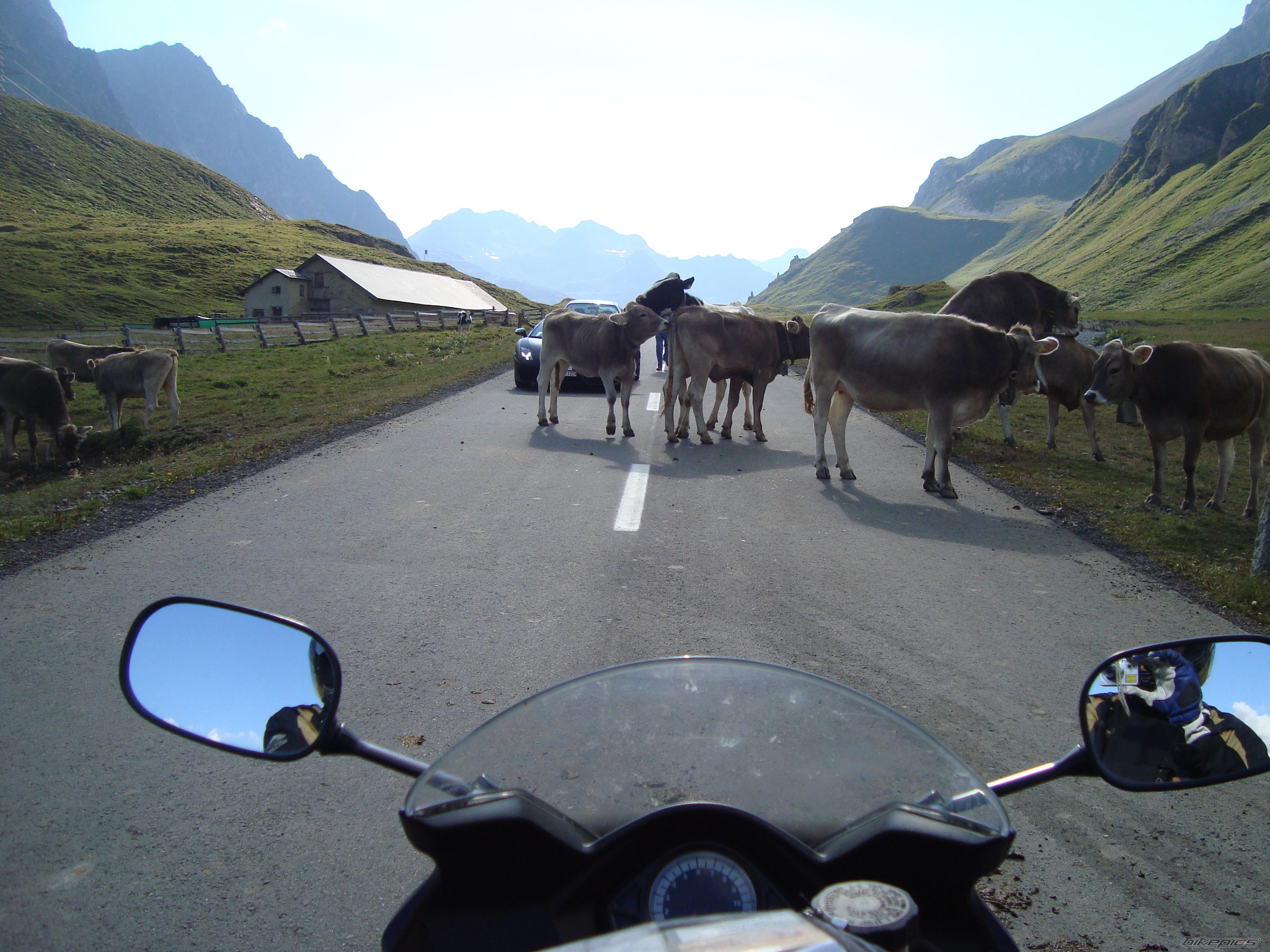 Photo 2045171