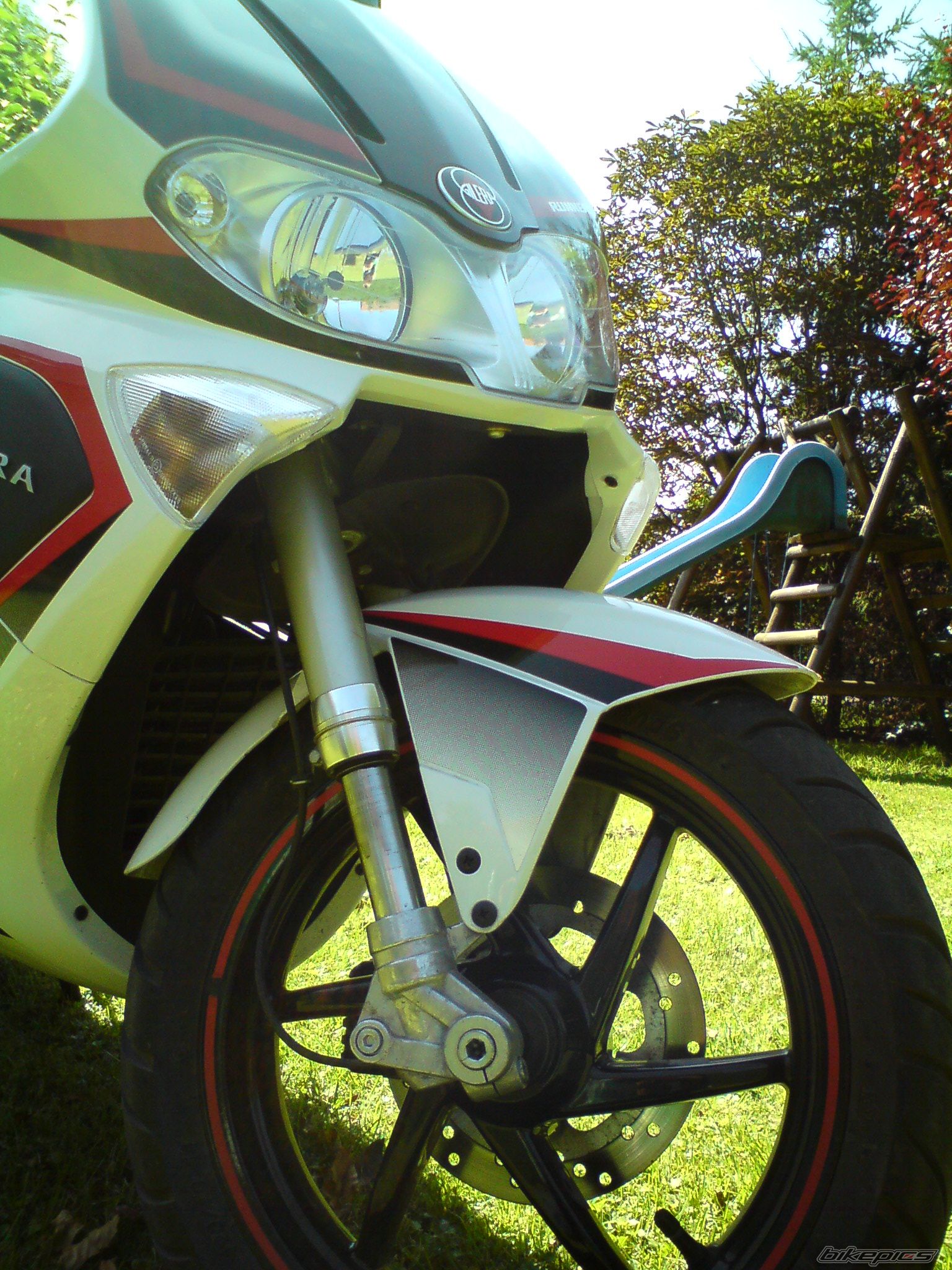 Photo 2045228