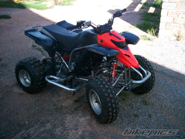 Photo 204547