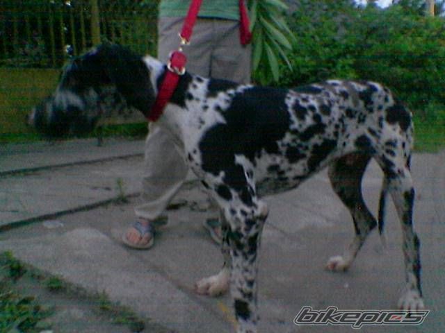 Photo 2045574
