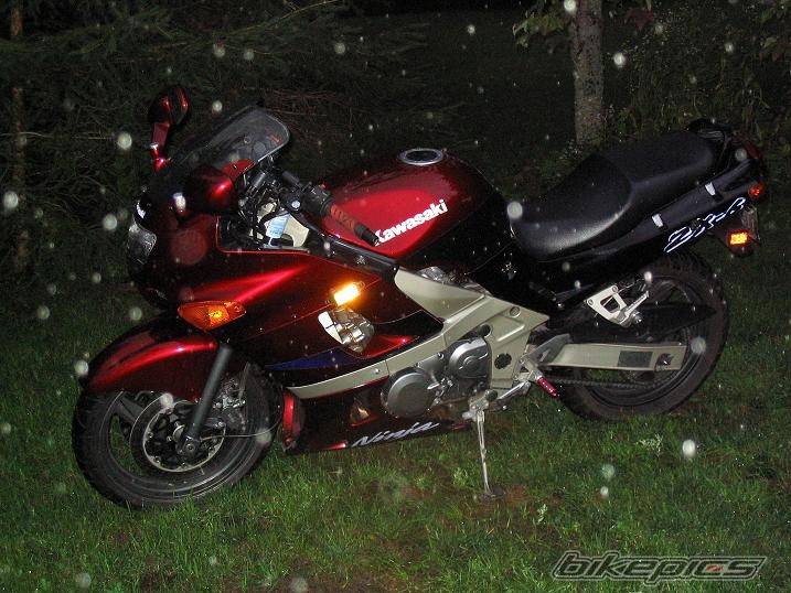 Photo 204560
