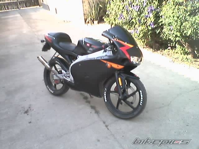 Photo 204583