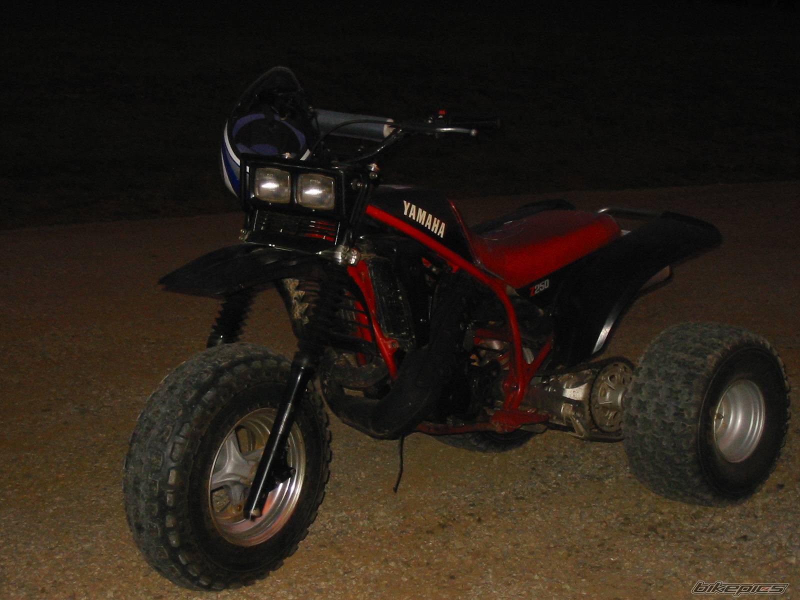 Photo 204590
