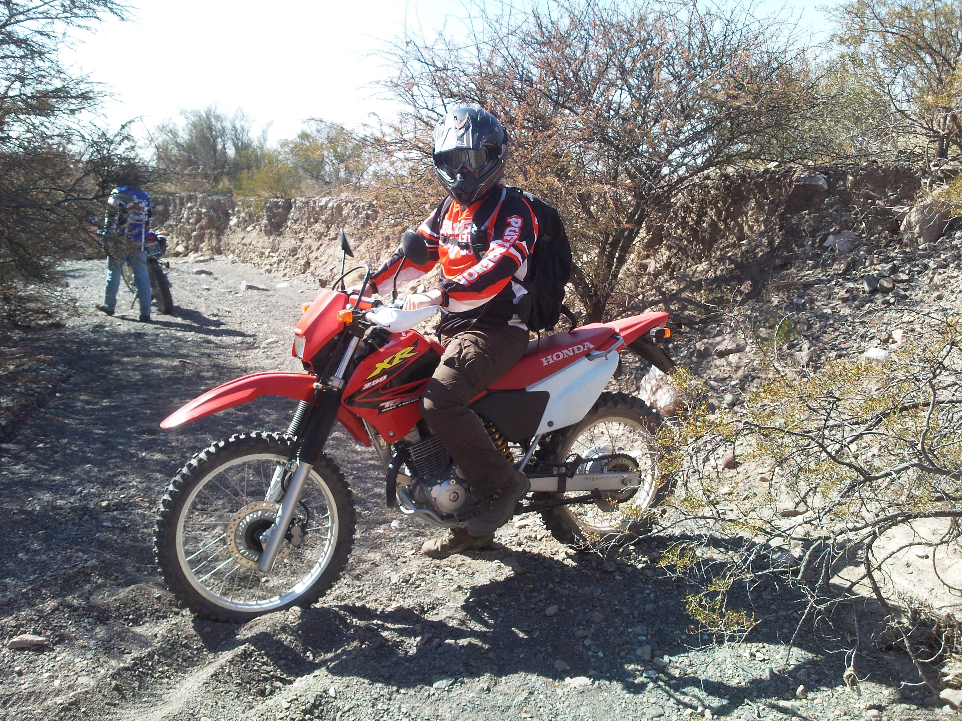 Photo 2045966