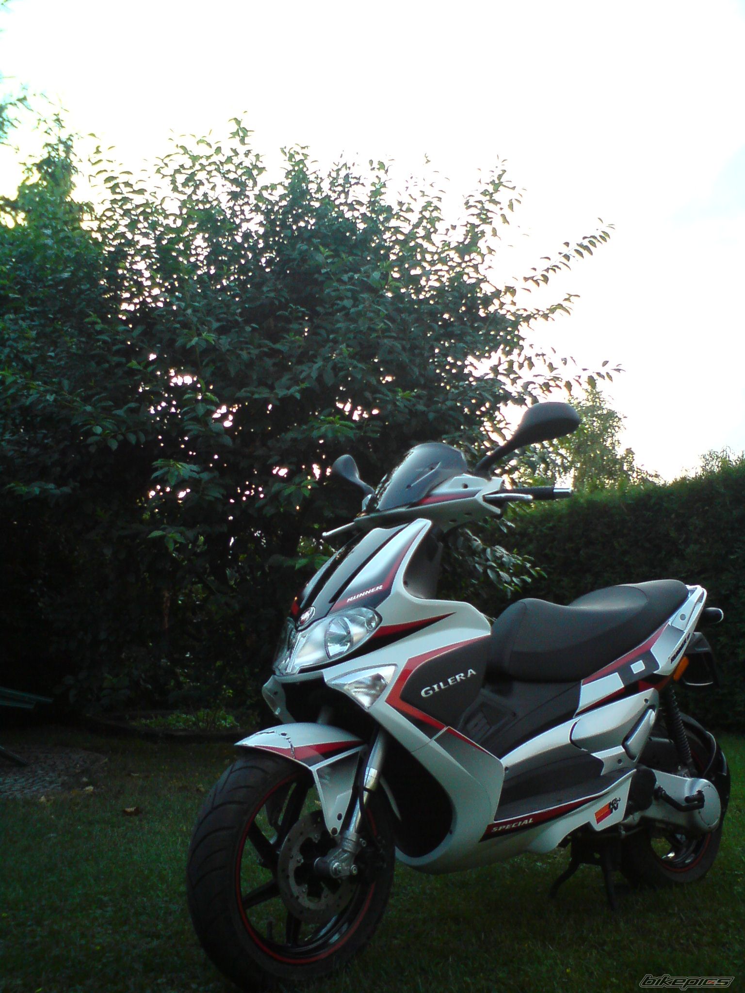 Photo 2045988