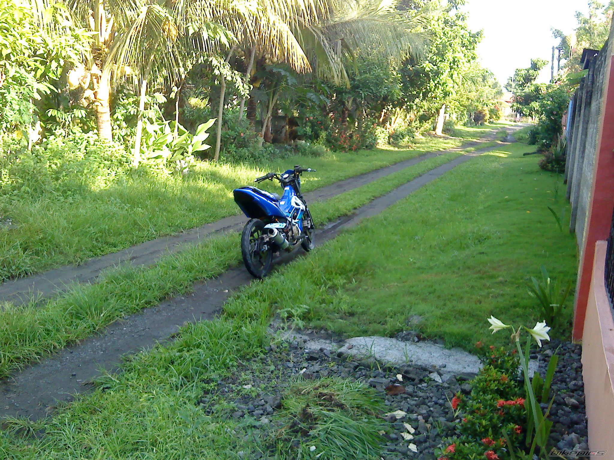 Photo 2046037