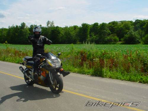 Photo 204615