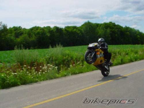 Photo 204618
