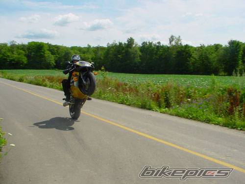 Photo 204619