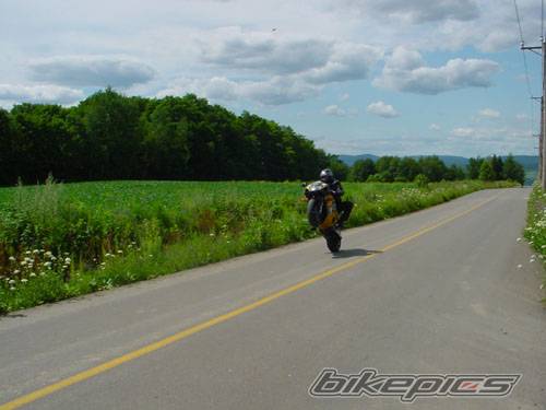 Photo 204620