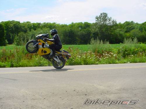 Photo 204621