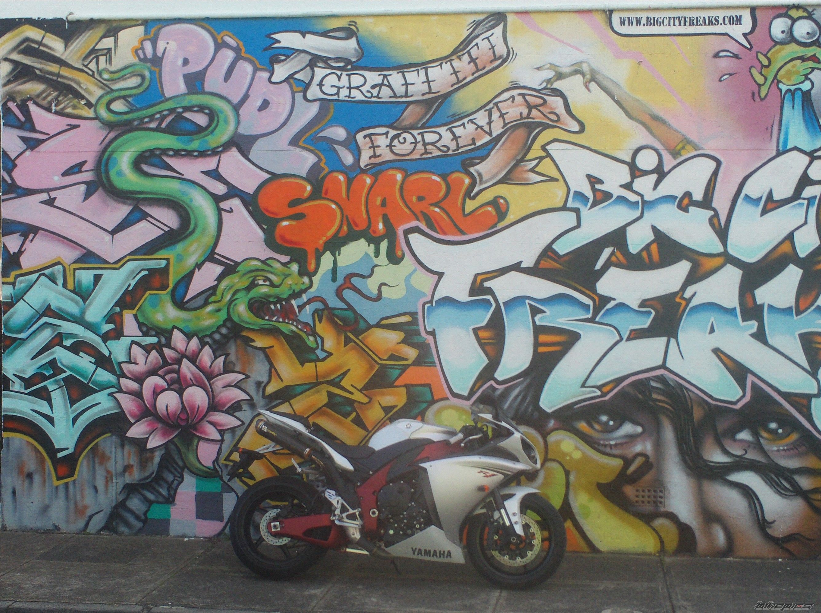 Photo 2046221